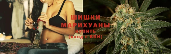 ПСИЛОЦИБИНОВЫЕ ГРИБЫ Липки