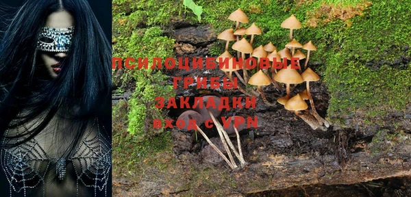 mdpv Ладушкин