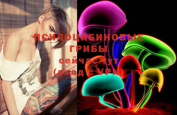 герыч Лагань