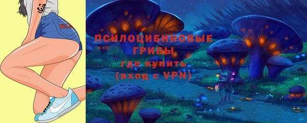 mdpv Ладушкин