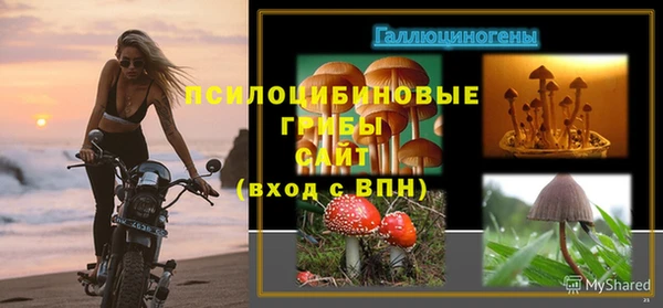 mdpv Ладушкин