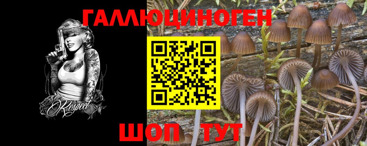 Лянтор  Галлюциногенные грибы Psilocybine cubensis  Вход с VPN 